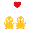 Petit canard