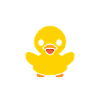 Petit canard