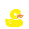 Petit canard