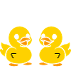 Petit canard