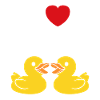 Petit canard