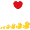 Petit canard