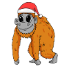 Monkey Christmas