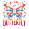 Schmetterling Monarchfalter Bunt Schmetterlinge