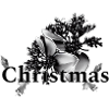 Gui de Noël