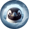 Penguin looking through snow hole