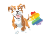 Boxer Chien Allemand Boxer Arc-en-ciel