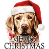 Noël Labrador