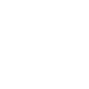 Car Insurance King