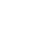 Medicare Princess