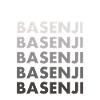 Dog Basenji