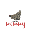 Maman Ameraucana