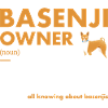 Dog Basenji Owner Definition