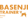 Dog Basenji Trainer Definiton
