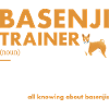 Dog Basenji Trainer Definiton