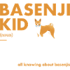 Dog Basenji Kid Definition