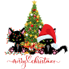 Christmas Cats