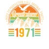 1971 - A legendary year