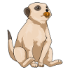 Meerkat Baby Pacifier