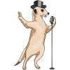 Suricate Singer Microphone Musique