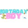 Dino Birthday Boy