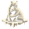 Ours polaires amoureux