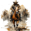 Cowboys et rodéo