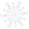 Filigree Snow Crystal Blossom in Winter