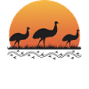 Aboriginal