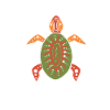 Aboriginal Turtle Dreaming