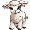Mignon petit agneau