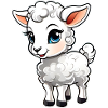 Mignon petit agneau