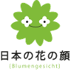 japanisches Blumengesicht Blumen Geschenk