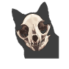 Cat Skull