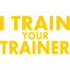 I train your trainer