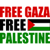 Free gaza Free palestine