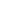Jahr 2029