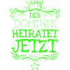 Bachelor Dominik