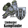 Limburger Kampftaube