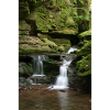 Black Forest Monbach