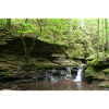 Black Forest Monbach