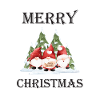 Merry Christmas Gnome