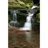 Black Forest Monbach