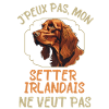 Chien de race setter irlandais