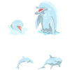 Dolphin Love