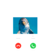 Dolphin Phone Display Dolphin Est