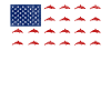 Dolphin American Flag