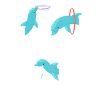 Dolphin Love