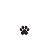 Heart with dog paw