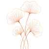 Ginkgo